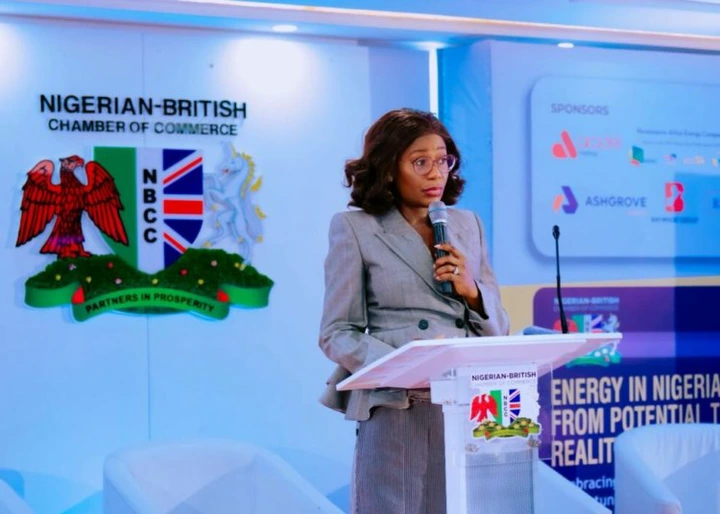 Nigeria Boosts Refining, Cuts Petrol Import Bill To Under N90bn Q1 — Verheijen 1